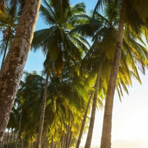 Coast in Costa Rica
